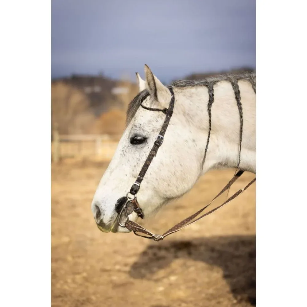 Schulz Equine Designer Single Ear Nylon Headstall - Image 2