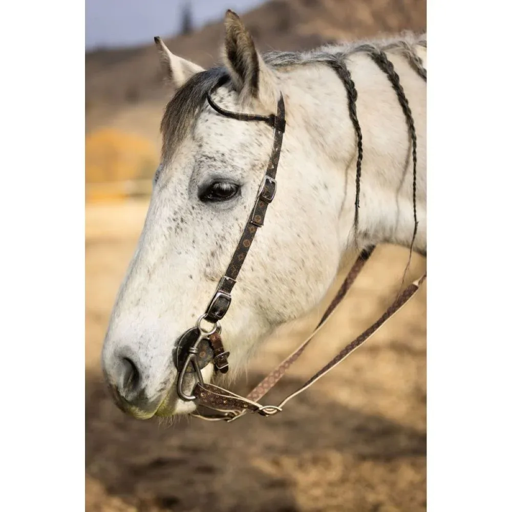 Schulz Equine Designer Single Ear Nylon Headstall