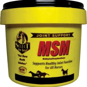 Select MSM Joint Supplement