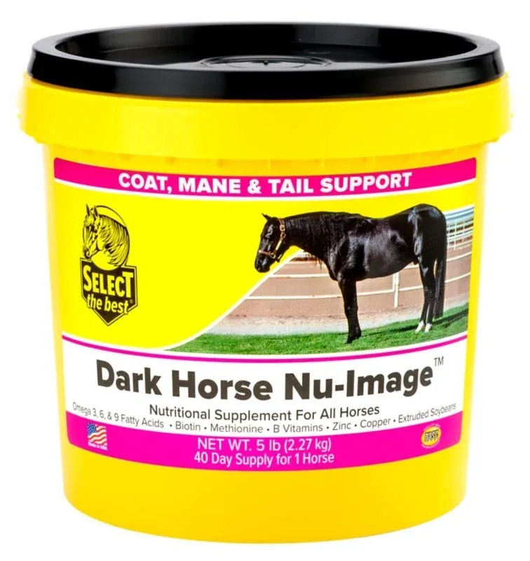 Select the Best Dark Horse Nu-image - Image 2
