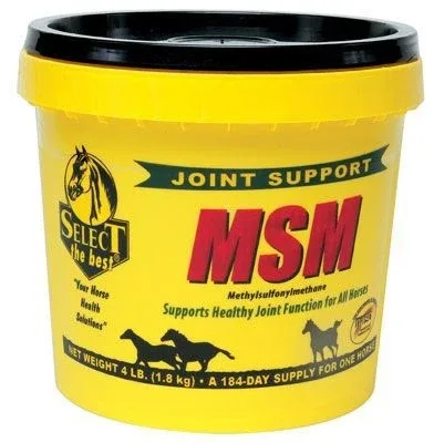 Select The Best MSM Joint Support for Horses - Image 2