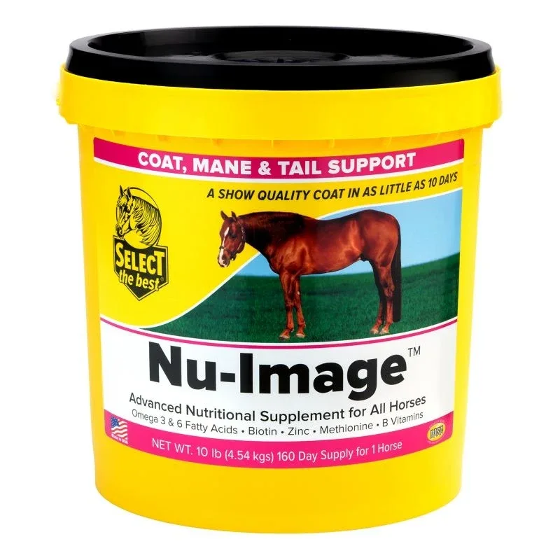 Select the Best Nu-image - Image 2