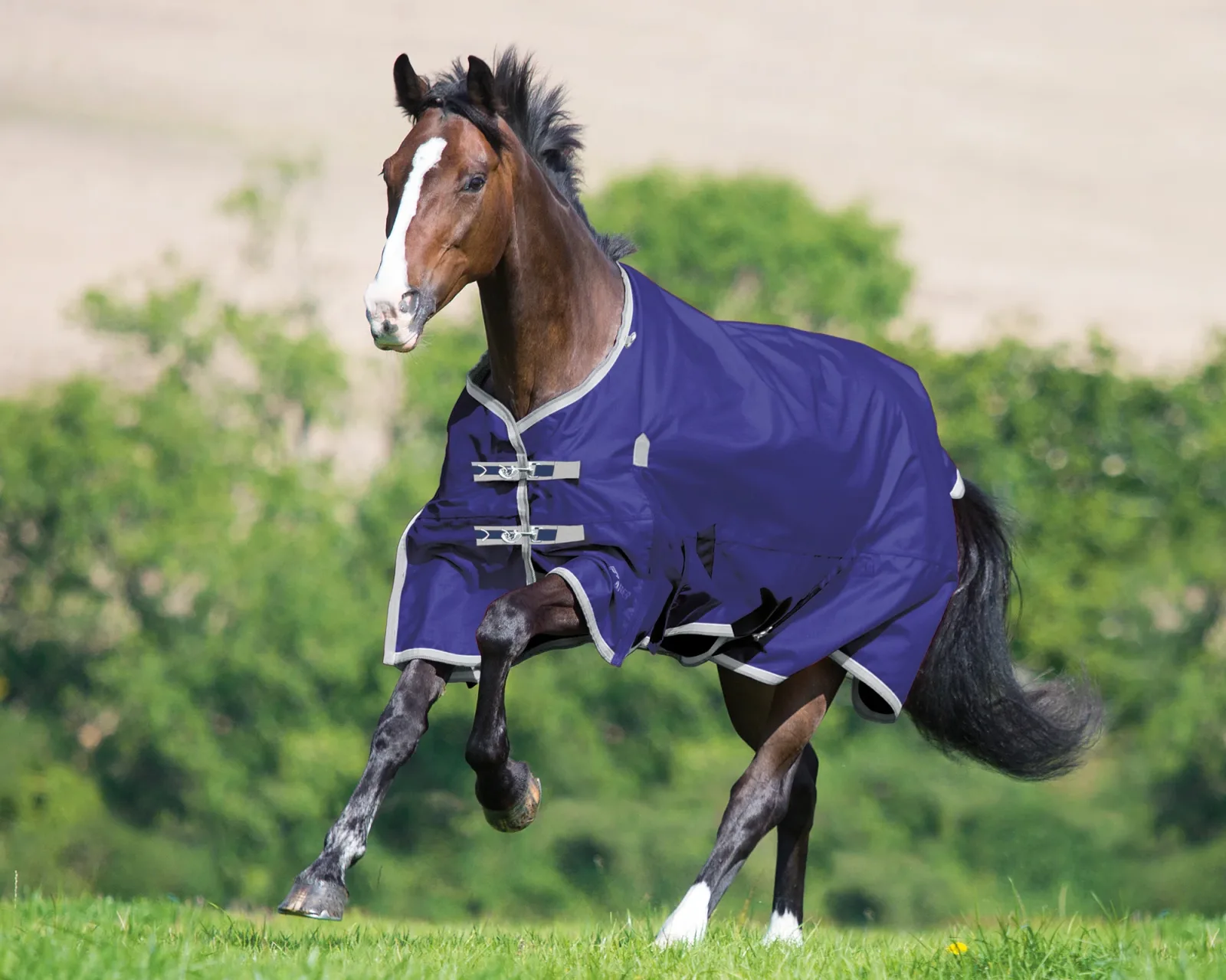 Shires Highlander Lite Turnout Sheet - Image 2