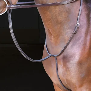 Shires Rossano Standing Martingale