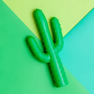 Silly Succulent Cactus Rubber Dog Toy