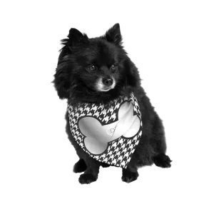 Silver Bone Classy Dog Bandana by Dog Fashion Living