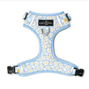 Simply Splendid No-Pull Harness