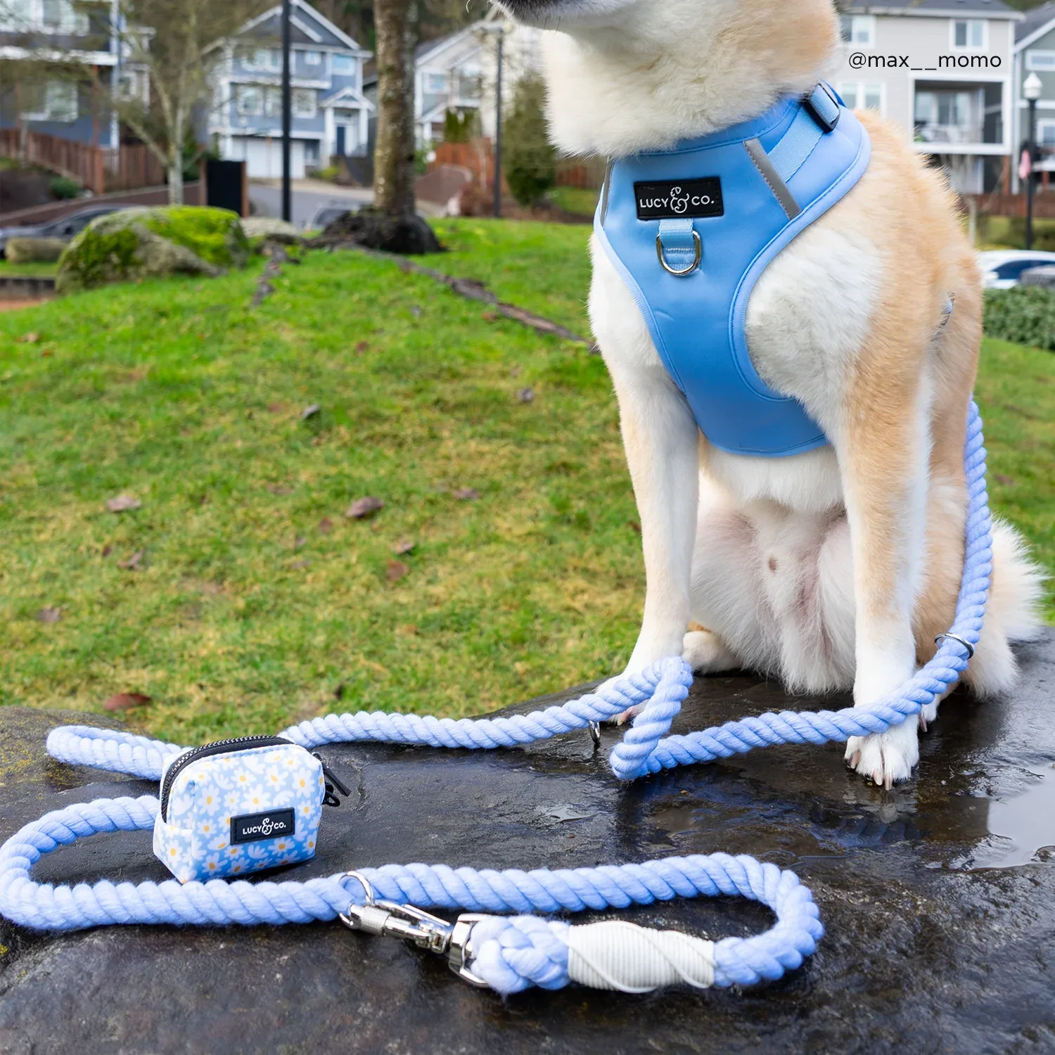 Simply Splendid Poop Bag Holder - Image 2