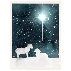 Sincere Surroundings Surroundings Star Lamb Scene