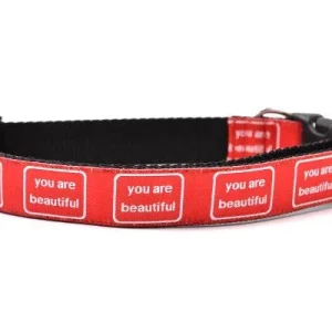 SIX POINT PET | You are Beautiful Collar