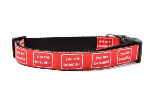 SIX POINT PET | You are Beautiful Collar