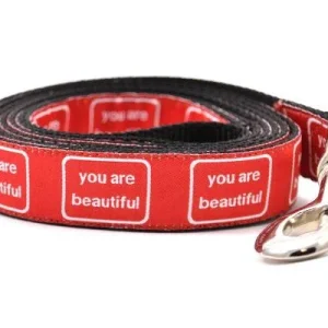 SIX POINT PET | You are Beautiful Leash