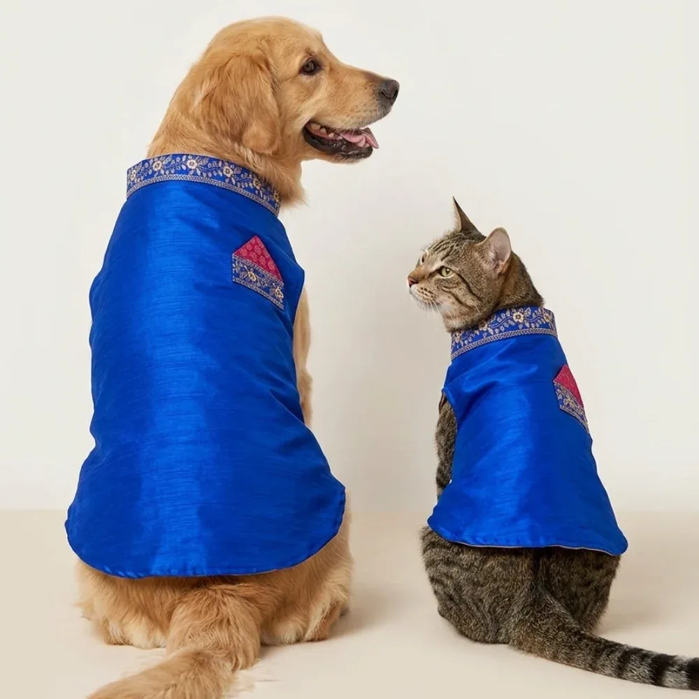 Skatrs Ethnic Sherwani for Dogs and Cats (Royal Blue) - Image 2