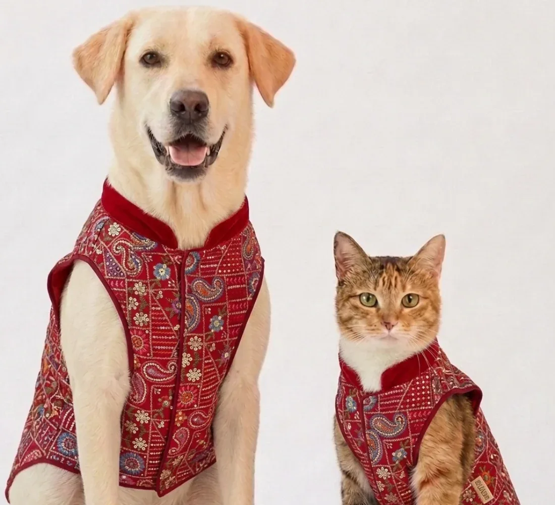 Skatrs Maharaja Handcrafted Sherwani for Dogs and Cats (Crimson Red)