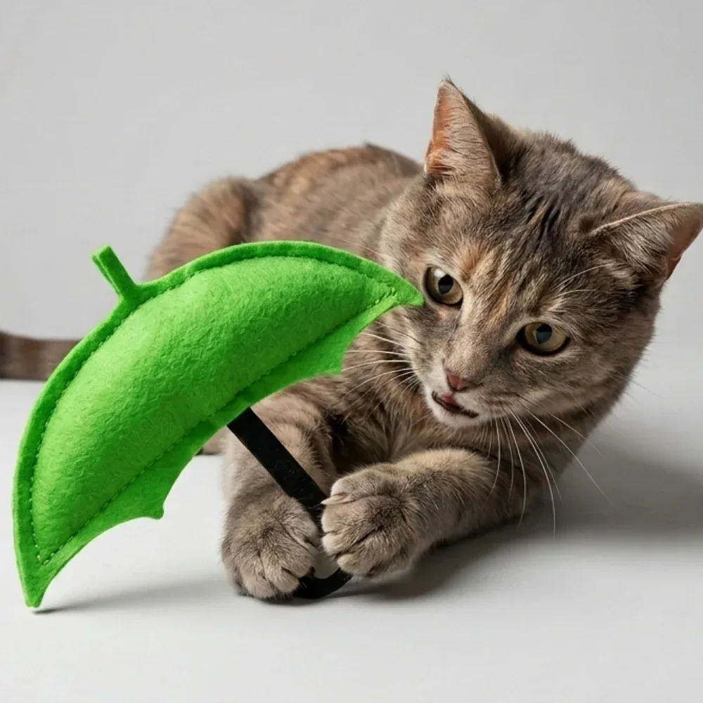 Skatrs Umbrella Toy for Cats and Kittens - Image 2