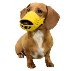 Small Silicone Muzzle for Dogs by Artero