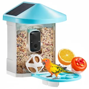Smart Bird Feeder With Camera AI Identify 10000+ Bird Specie Solar-Powered