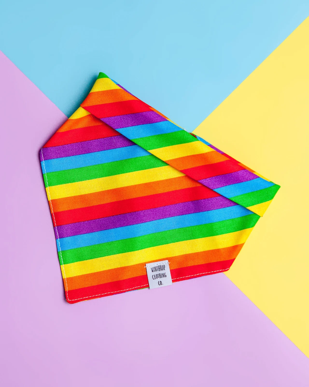Snap-on Dog Bandana in Really Rainbow (FINAL SALE)