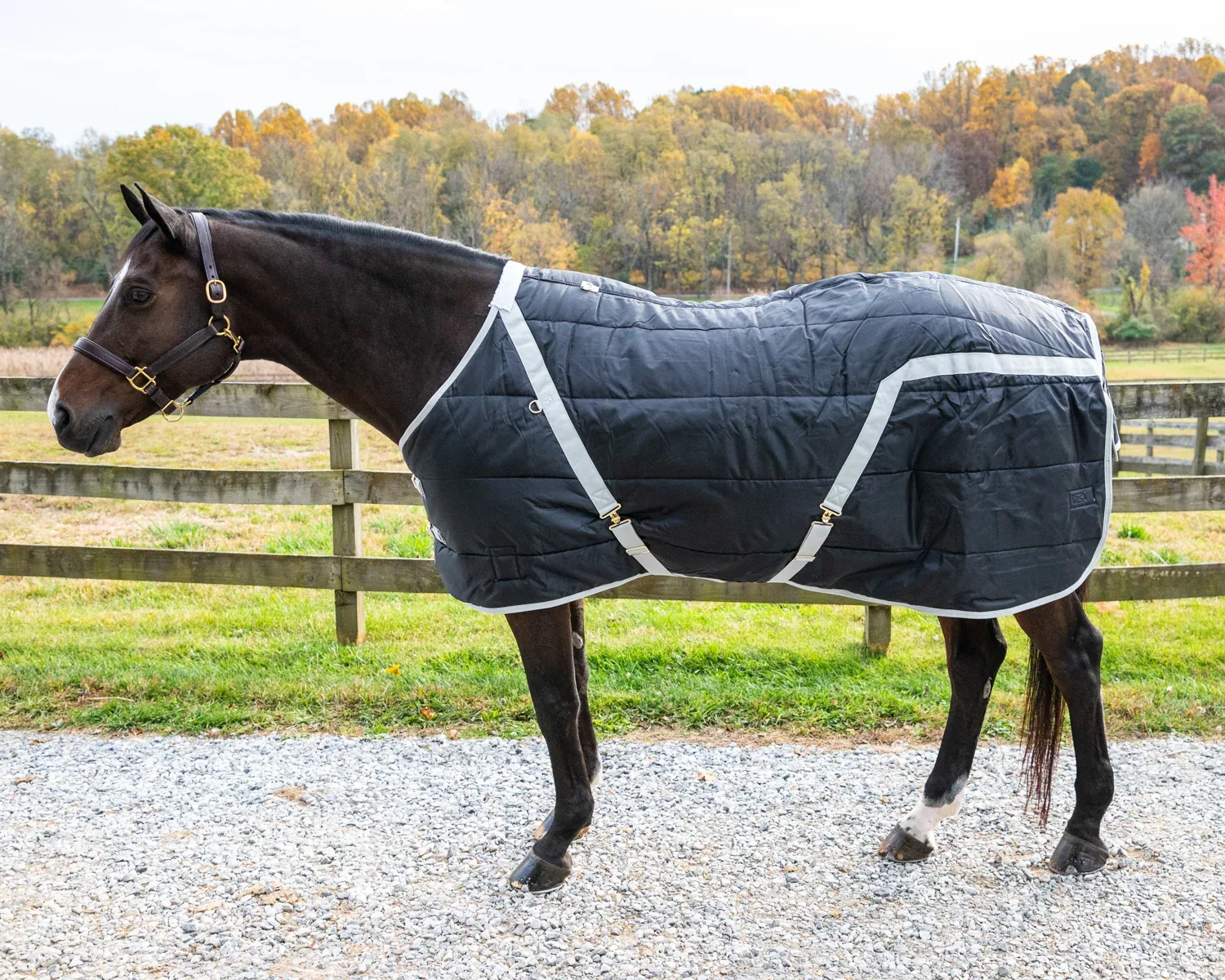 Snuggie Heavyweight Stable Blanket, Large