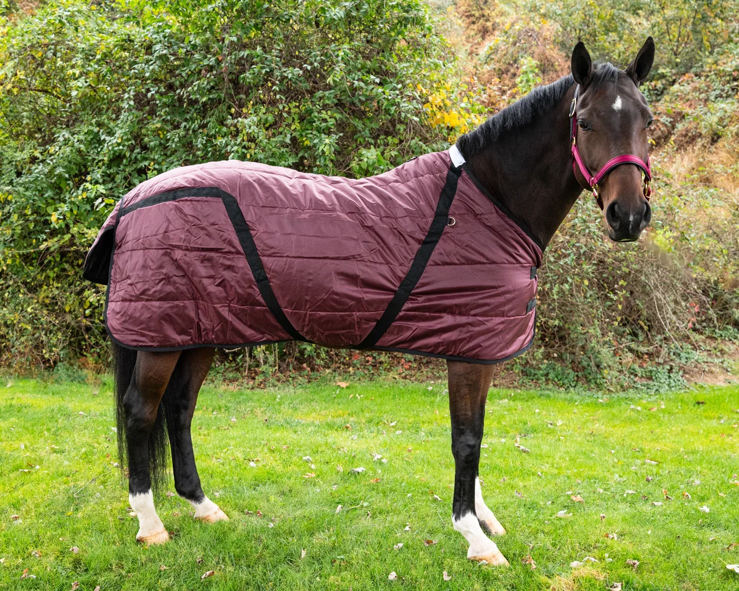 Snuggie Heavyweight Stable Blanket, Large - Image 2