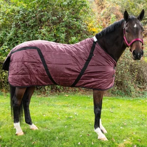 Snuggie Heavyweight Stable Blanket, Medium