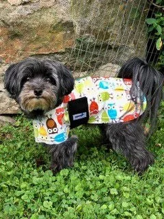 Snugpups Owls Dog Raincoat - Image 2