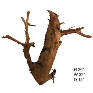 SOLD - Malaysian Driftwood, Super WYSIWYG 36" x 32"