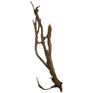 SOLD - Malaysian Driftwood, Super WYSIWYG 64" x 21"