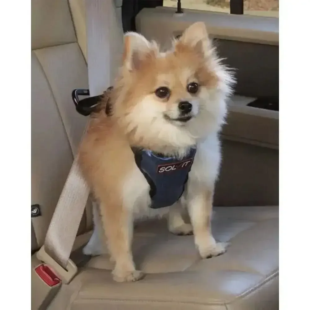 Solvit Products Deluxe Vehicle Safety Dog Harness Black, Blue Small
