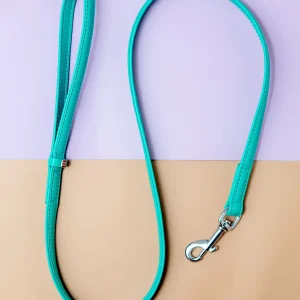 Spearmint Leather Dog Leash <>