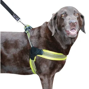 Sporn Easy Fit Dog Harness Yellow - Large