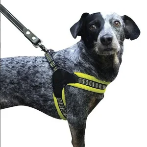 Sporn Easy Fit Dog Harness Yellow - Medium