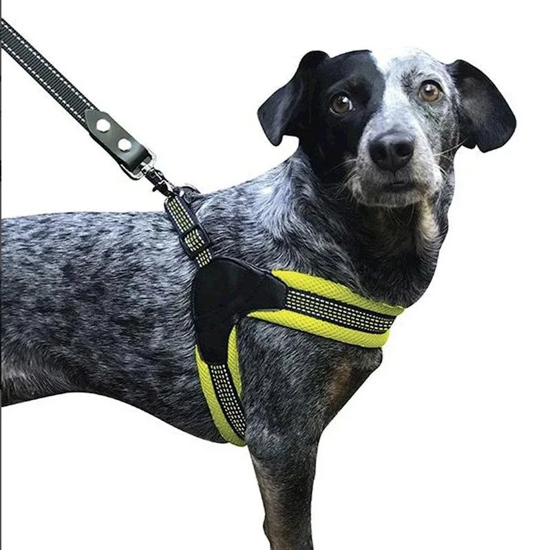 Sporn Easy Fit Dog Harness Yellow - Medium