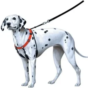 Sporn Pull-Control Dog Halter