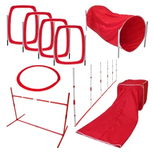 Sport Pet 6-Piece Large Agility Kit