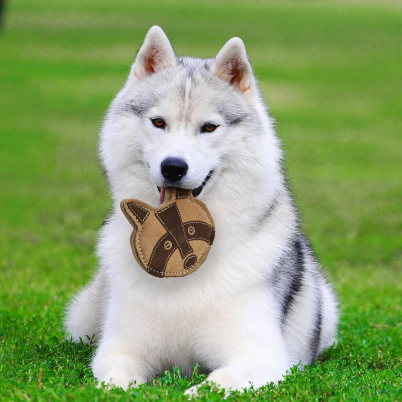 Spot Dura-fuse Leather Chunky Dog Toy Raccoon 5in - Image 2