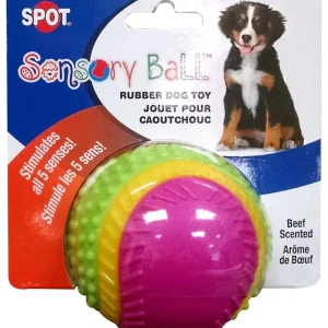 Spot Sensory Ball Dog Toy, Assorted, MD 3.25 in