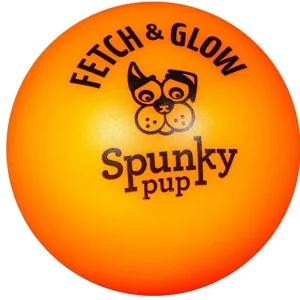 Spunky Pup Fetch and Glow Ball Dog Toy Assorted Colors