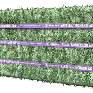 Standlee Premium Products Alfalfa/Orchard Compressed Bale