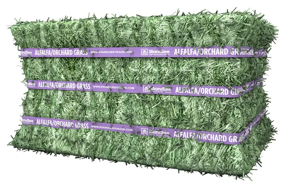 Standlee Premium Products Alfalfa/Orchard Compressed Bale