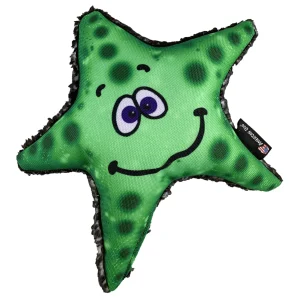 Stanley Starfish Dog Toy - Floating Nylon Flyer for Fetch & Water Play