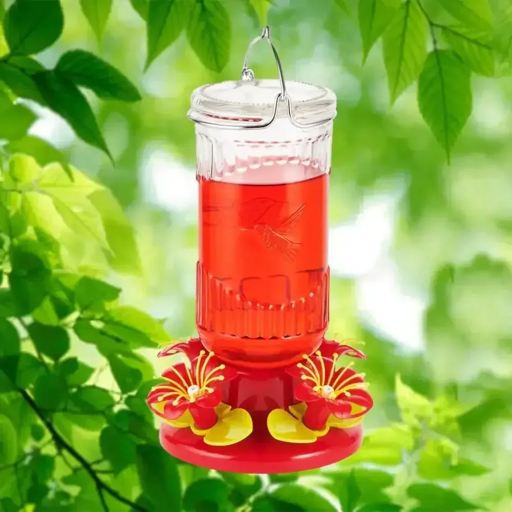 Stargazer Glass 26 oz. Hummingbird Feeder