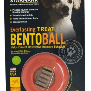 Starmark Everlasting Treat Bento Ball Dog Chew Toy, MD
