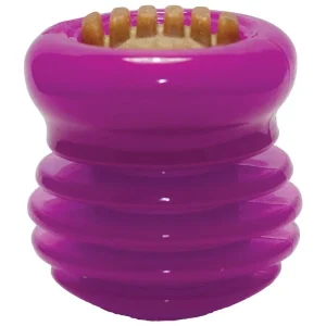Starmark Groovy Ball with USA Made Dog Treat, Purple Medium