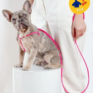 Step-In Adjustable Dog Harness in Neon Pink (Made in the USA)