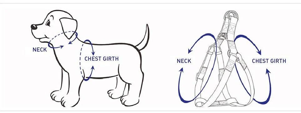 Step-in Dog Harness, Rainbow Heart Pink - Image 2