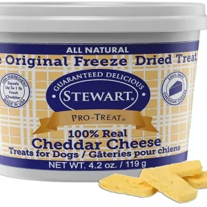 Stewart Freeze Dried Cheddar Cheese Dog Treats