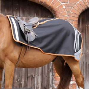 Stratus Horse Exercise Sheet Black