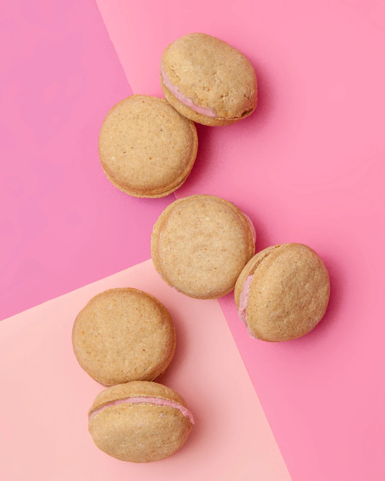 Strawberry Macarons Dog Treat Box Set <> - Image 2