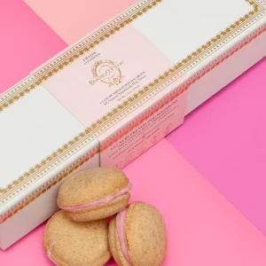 Strawberry Macarons Dog Treat Box Set <>